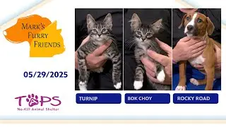 Mark's Furry Friends | Turnip, Bok Choy and Rocky Road | 05/29/2025