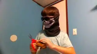 Buddy Destruction