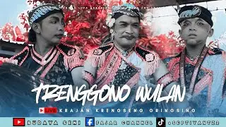 CLASSIC KEMBANG TELO !!! JARANAN SRANDUL FULL SURUP TRENGGONO WULAN TERBARU LIVE KRENGSENG 14/1/26