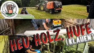 FarmVLOG#241 - Heu, Holz und Huf ( Klauen ) 😀