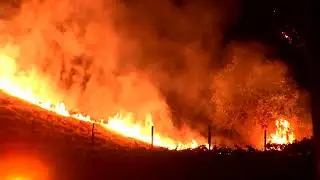 California wildfires burn more than 4 million acres