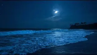 Peaceful Ocean Waves at Night 🌊 ASMR for Sleep, Meditation & Relaxation