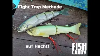 Es ist nicht immer leicht! Hechte mit der Eight Trap Methode