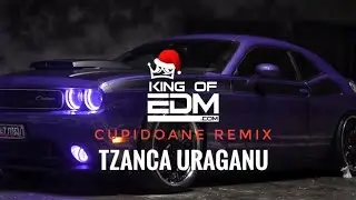 TZANCA URAGANU - Cupidoane (AZVANR Remix) 🎧MANELE CLUB MIX⚡TikTok Remix🔥2025
