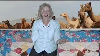 Camels Fact and Fiction