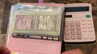Weekly Check in January 19th-25th 2020 Single mom budget | Low income | Cash Envelopes