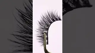 We&rsquo;re in loveeeee! 💗 Introducing our NEW Most Wanted Gimme More lashes 😍✨⁠⁠  #lashes #eyelashes