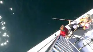 Massachusetts fishermen reel in 920-pound tuna off Cape Cod (VIDEO)