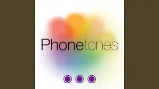 Calm Professional Business Alert Tone SMS