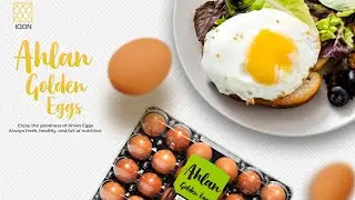 ✨ IQON Food Industries | From Quality to Commitment | Corporate Video (English Version) ✨