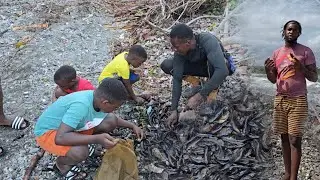 {PT 1}HEAVY RAIN IN PORTLAND BRING US FISH |PICKING UP LIVE FISH ON DRY LAND