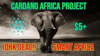 Cardano 'Africa Project