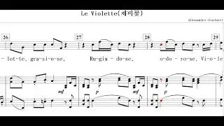 Le Violette(제비꽃)-Alessandro Scarlatti