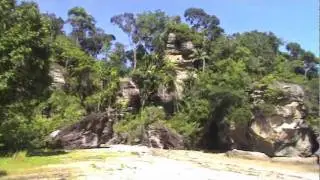 BAKO NATIONAL PARK - BORNEO