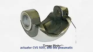 CVS V-100 Ball Valves
