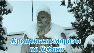 1908❤️Уехали в Станицу с села/ Два красавца в хозяйство/ Рис для роллов и суши в описании
