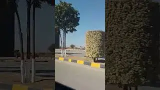 Faisal hills travel short #explore