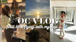 first time traveling with my dog! | a week in Orange County