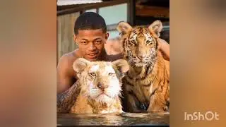 Baby Animals! Cute, Funny And Smart Animals! Animals Video Compilation #01