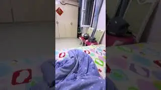 Moth causes panic as it flies toward man in Beijing, China