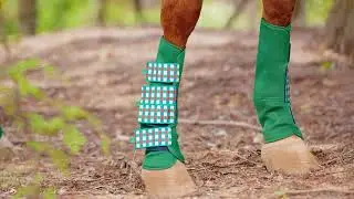 Horse & Dog Suppliers Factory-Customized Premium Boots and leg Protection Horse Boots & Wraps.