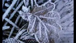 Winter Light Lyrics