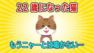 【2ch】実家の猫が22歳になった、もうニャアとは鳴かない⋯