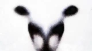 ATOMIS - In the Realm of Hungry Ghosts