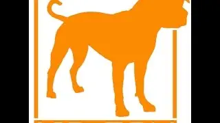 Less Stress More Success - Counter Conditioning Dogs to Dogs On Leash