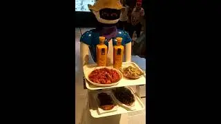 CSJBOT-Robot Waitress Sister XII
