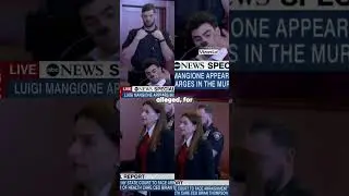 Staged Perp Walks: A Political Spectacle?