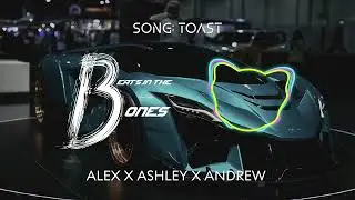 TOAST  &bull;  NEW PHONK MUSIC  &bull;  ALEX X ASHLEY X ANDREW  &bull;  Beats in the Bones