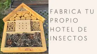 C&oacute;mo hacer un hotel de insectos paso a paso 🐞
