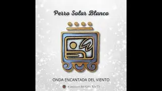 ⚪ Kin 230: Perro Solar Blanco ⚪
