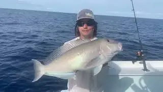 Alternative to Mahi Fishing - #deepdropping #tilefish #bluelinetiles