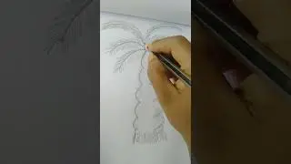 🌲 Tree drawing@Palm tree#shortvedio