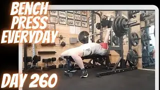 Bench press everyday Day 260 - Strict 70kg x 5 reps Overhead Press