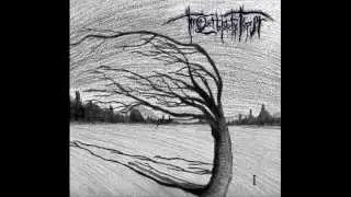 The Quiet Before The Tempest- Pain II (or The Alienation)