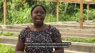 Climate Innovation - Aquaponics farming in the Upper Rio Minho Watershed, Clarendon