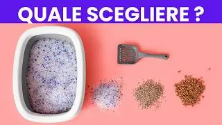 Lettiere per gatti, QUALI SCEGLIERE?