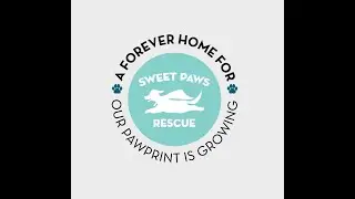 A Forever Home for Sweet Paws Rescue