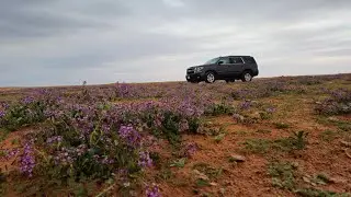 أمطار حفر الباطن..أم عشر..ساموده      ١٩ / ٢  / ٢٠٢٥ م