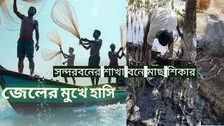 সুন্দর বনের শাখা বনে মাছ শিকার।Catching Fresh Shrimp in the Wild Sundarbans 🦐 | River Fishing