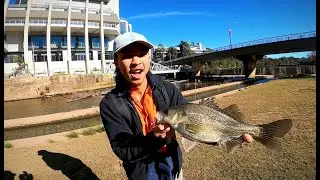 SUBURBAN Aussie Bass Fishing!
