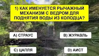 Всё ещё думаете, что всё знаете? Тогда мы идём к вам, с нашим тестом на эрудицию!