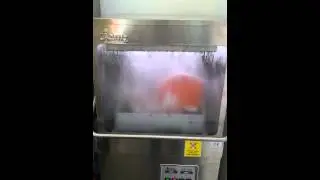 Jemi Hood-Type Dishwasher Balloon Test (Kitchenhub Pte Ltd)