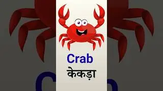 Crab Facts for Kids in Hindi & English | बच्चों के लिए केकड़े की मज़ेदार बातें