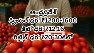 ఈరోజు టమాటా రేట్లు | ఆంధ్రప్రదేశ్, తెలంగాణ మార్కెట్ ధరలు 29-01-2026&ndash; Daily Market Prices Updates