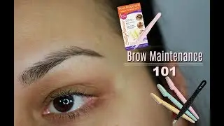 HOW TO GROOM/WAX EYEBROWS AT HOME - EASY EYEBROW MAINTENANCE | glossandtalk