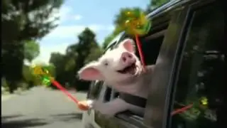 Geico Commercial Three Little Pigs Wee Weee Weeee